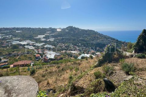 Landejendom i Ospedaletti, Imperia, Ospedaletti - € 330.000 | Ref: EM1312 - foto 6
